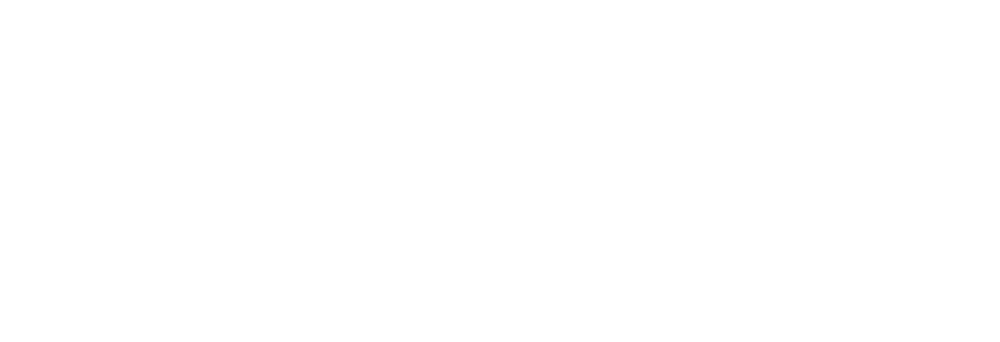 Logo blanc LOZDEV INFORMATIQUE